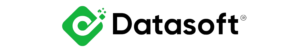 Datasoft muhasebe yazılımları logosu
